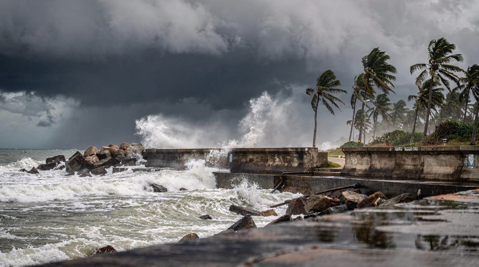 Jeju typhoon season: what to know