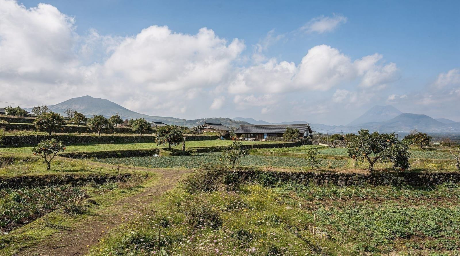 El clima de Jeju mes a mes