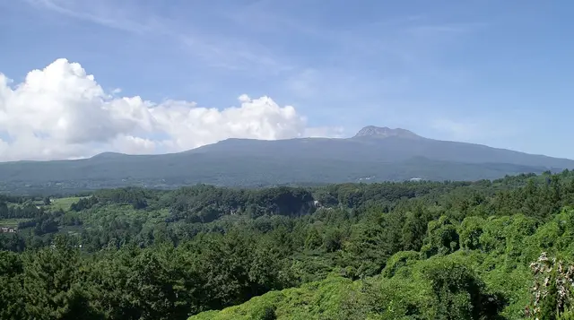 Jeju Island: 1 Day Private Tour