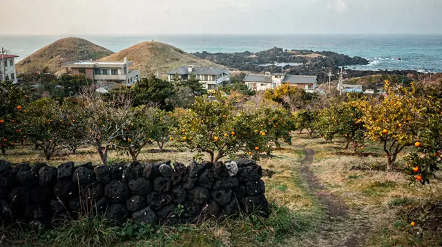 Jeju Island: Southern UNESCO Spots Day Tour
