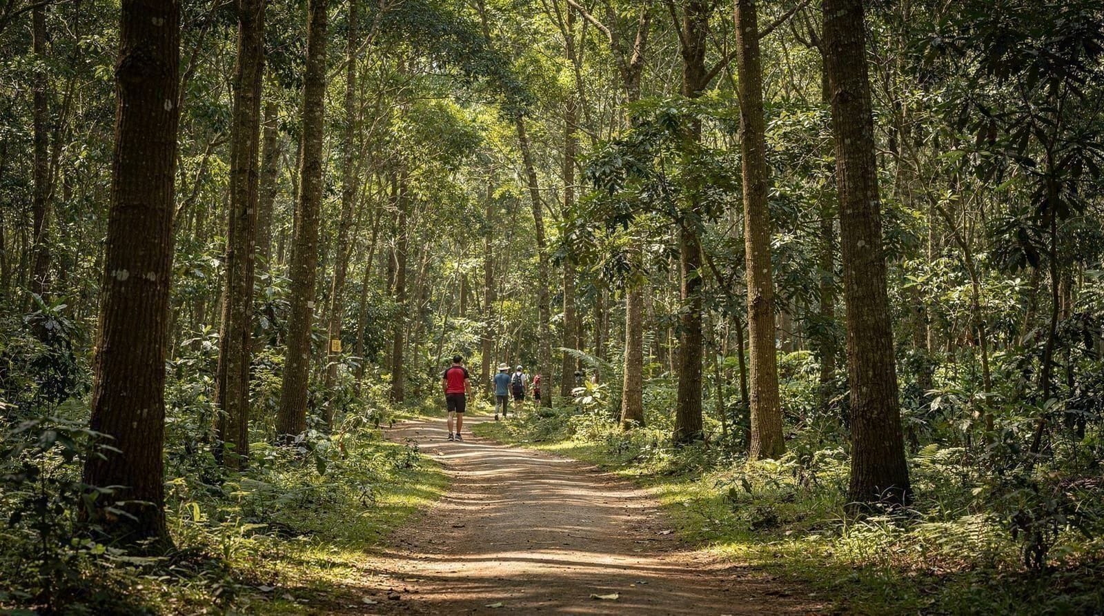 Bijarim Forest
