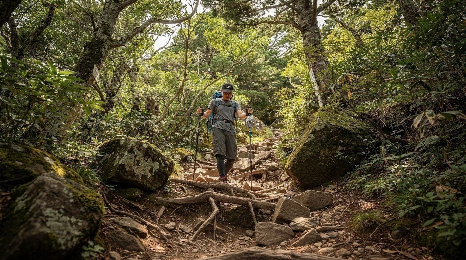 Hallasan: Gwaneumsa Trail