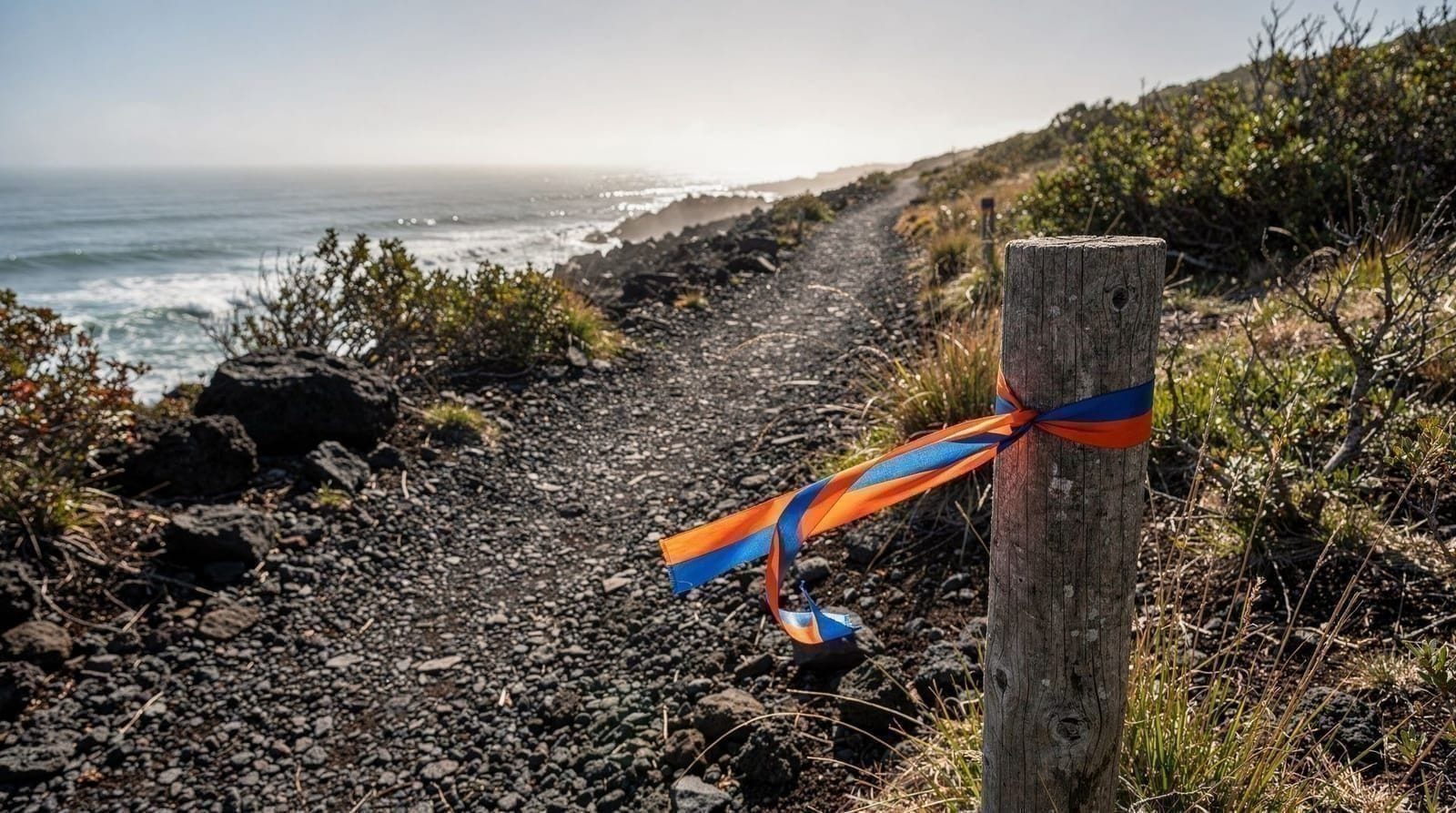 Jeju Olle Trail: Overview (26 Routes)