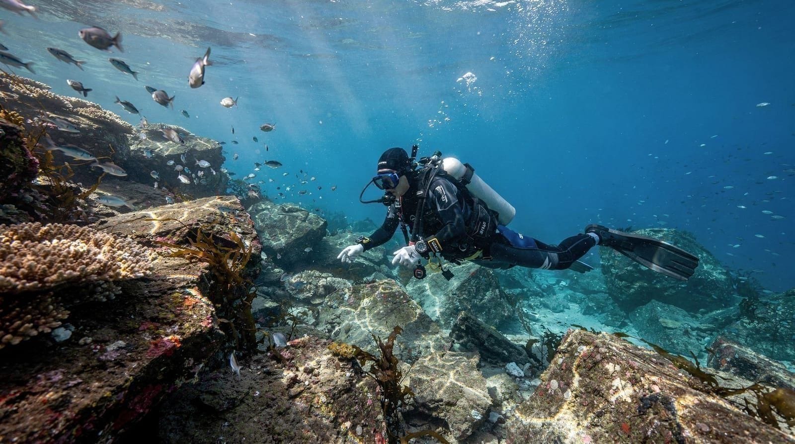 Scuba diving in Jeju