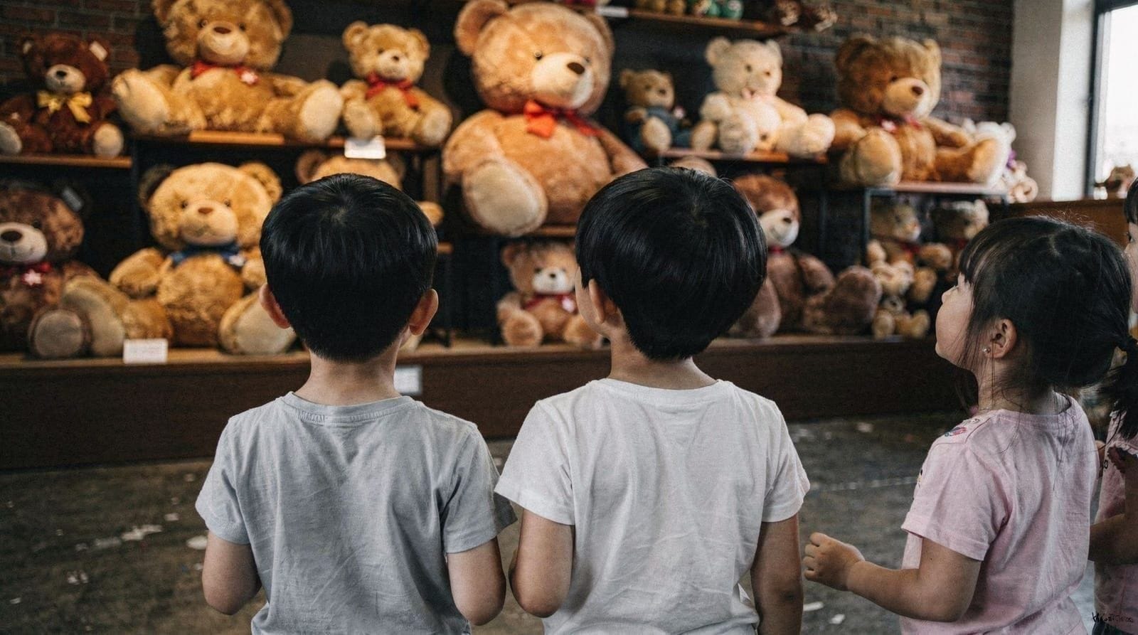 Teddy Bear Museum (TESEUM)